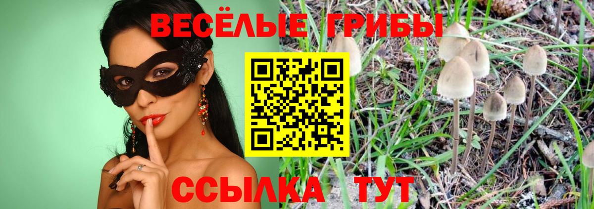 Александров  Галлюциногенные грибы ЛСД  Вход с VPN 