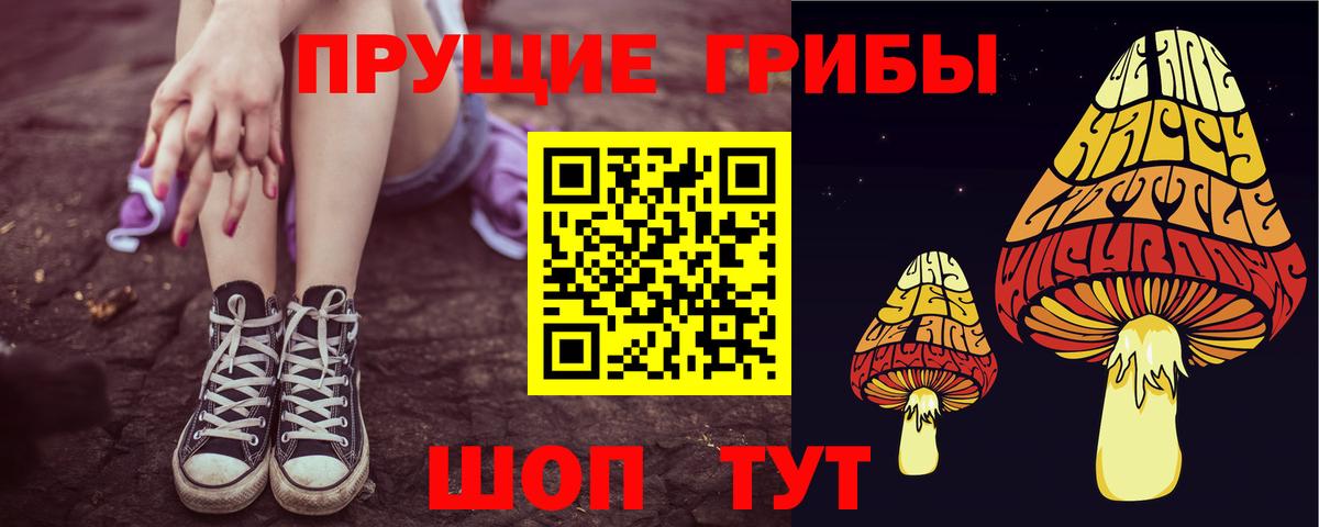 Псилоцибиновые грибы мухоморы Александров