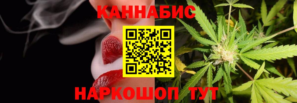 Бошки Шишки план  Бошки марихуана планчик  Александров  Канабис план  Вход с VPN  МАРИХУАНА индика 